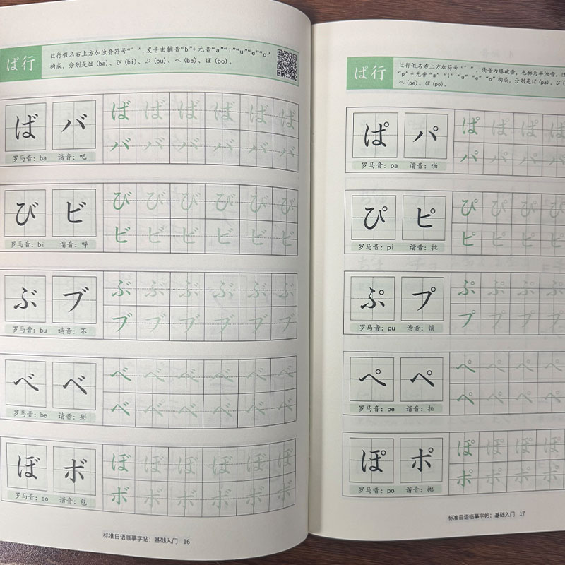 Chinese Calligraphy Practice Book - Buku Latihan Menulis Hiragana & Katakana