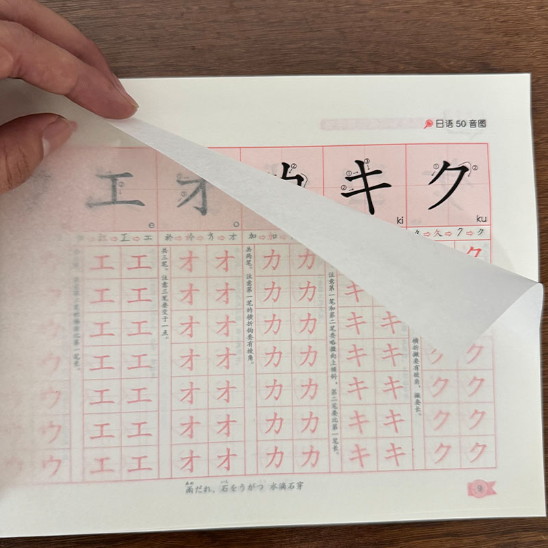 Chinese Calligraphy Practice Book - Buku Salin Tulisan Hiragana Katakana Jepang